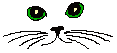 Kocie oczy